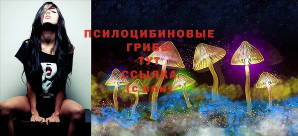 хмурый Алексеевка