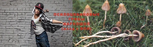 хмурый Алексеевка