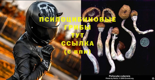 хмурый Алексеевка