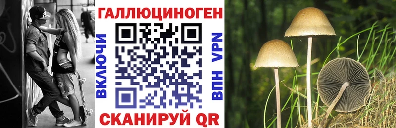 Псилоцибиновые грибы MAGIC MUSHROOMS  дарк нет состав  Тейково 